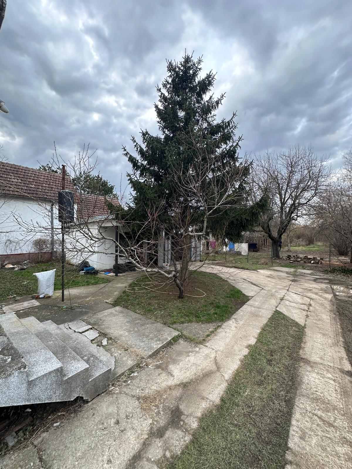 viber_image_2026-02-19_20-11-30-256