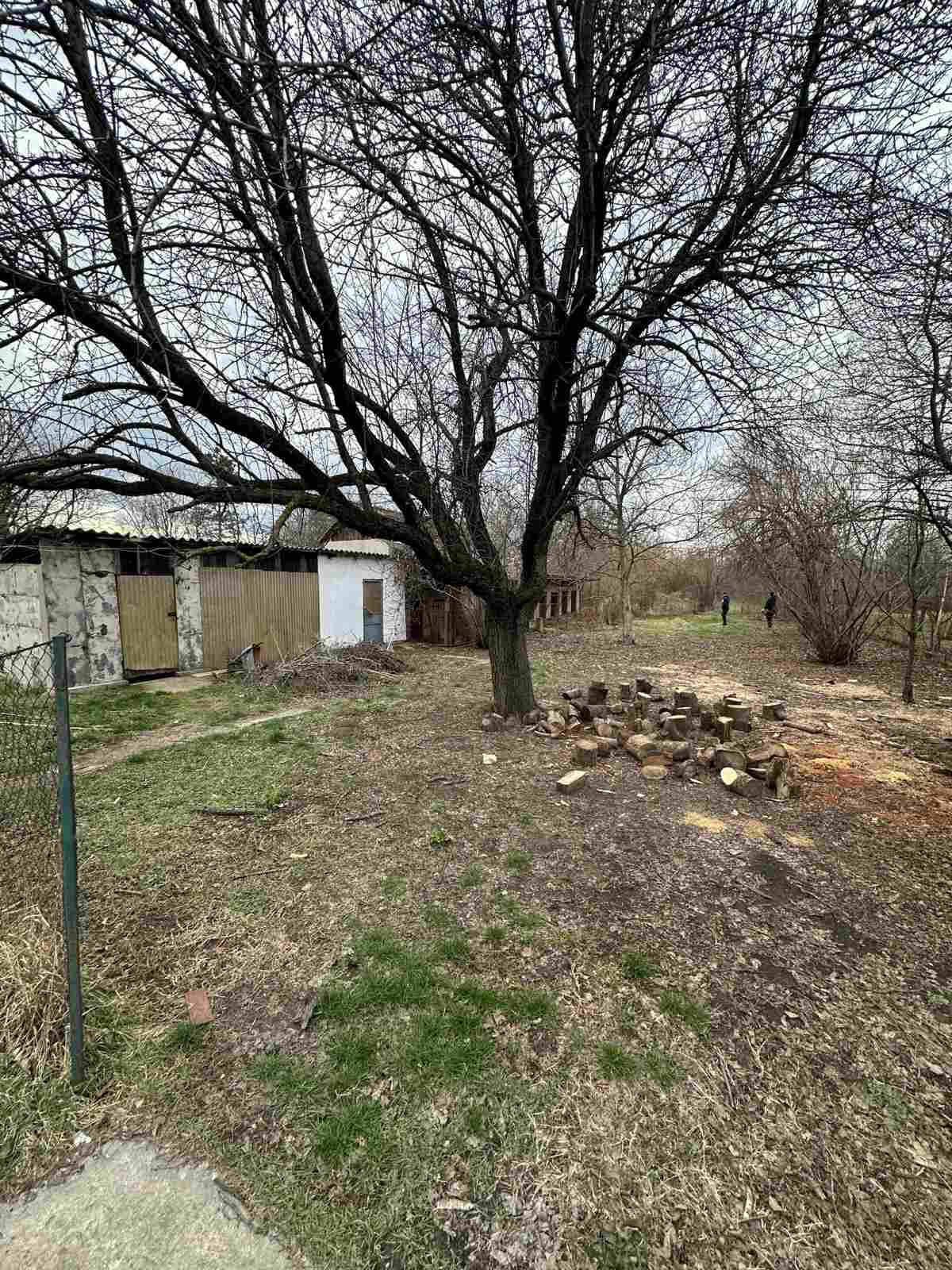 viber_image_2026-02-19_20-11-30-285