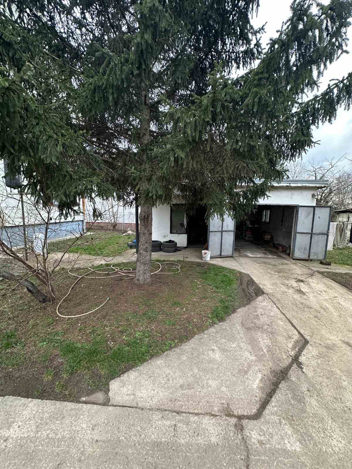 viber_image_2026-02-19_20-11-30-314