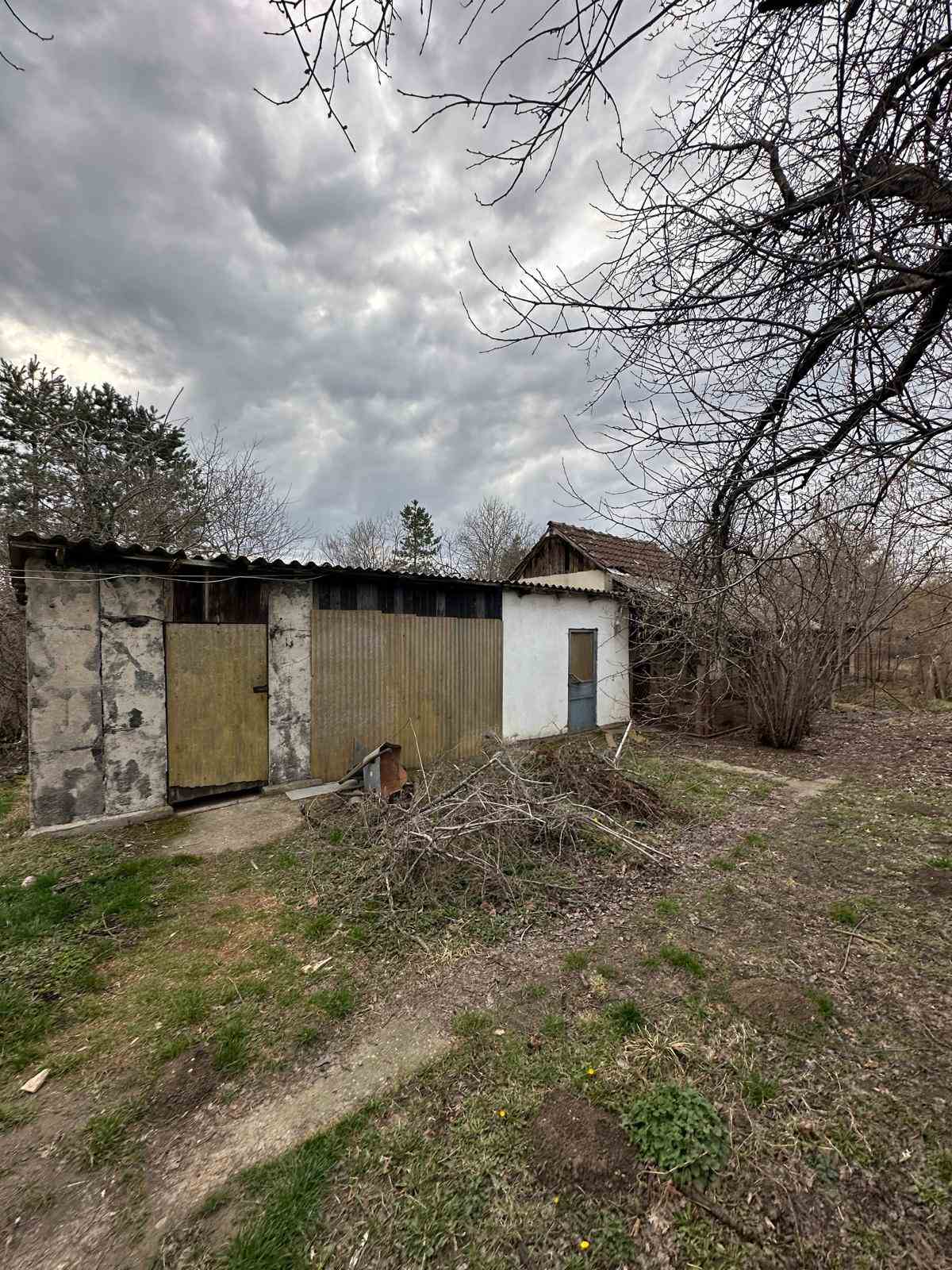 viber_image_2026-02-19_20-11-30-572