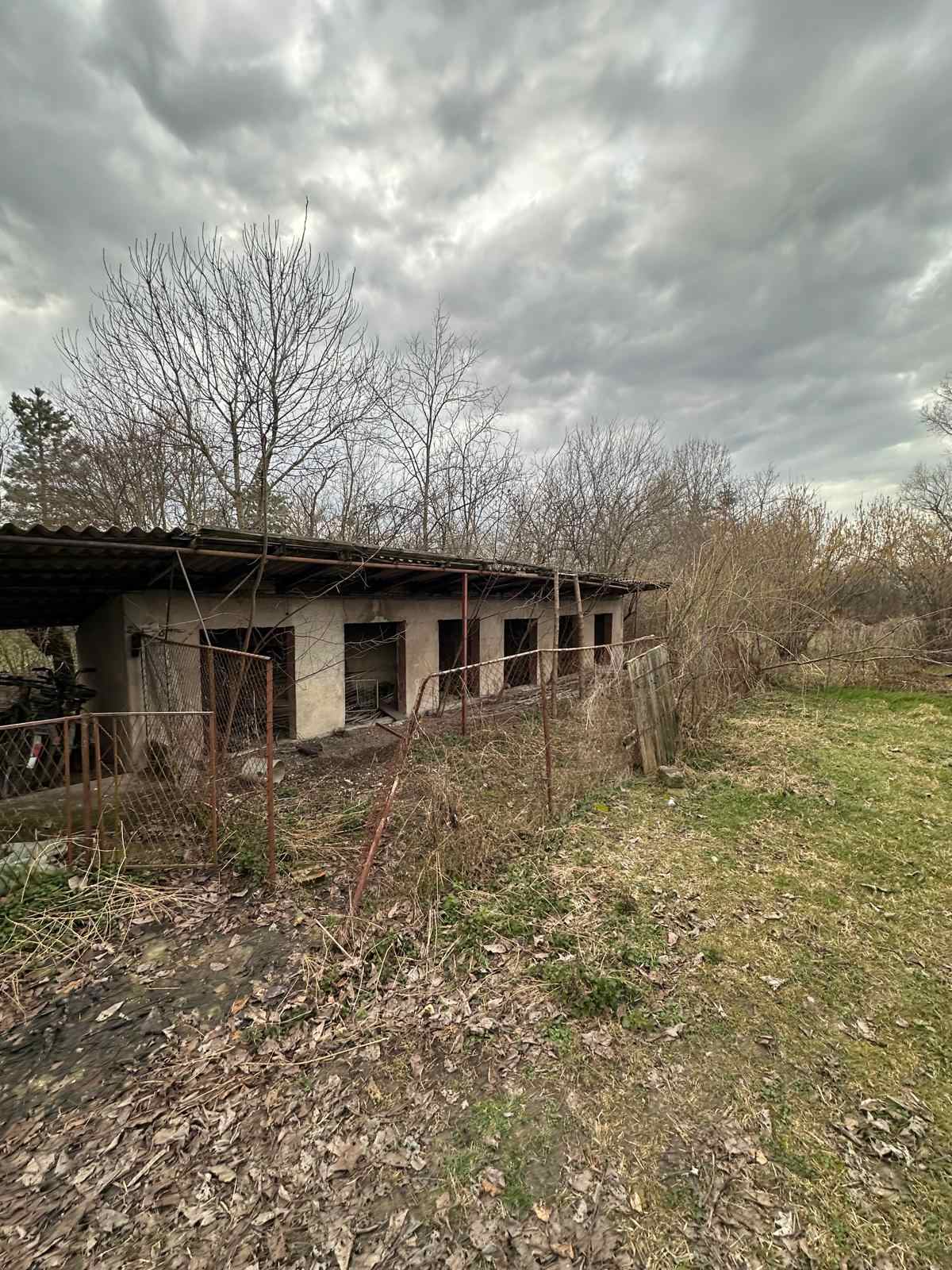 viber_image_2026-02-19_20-11-30-596