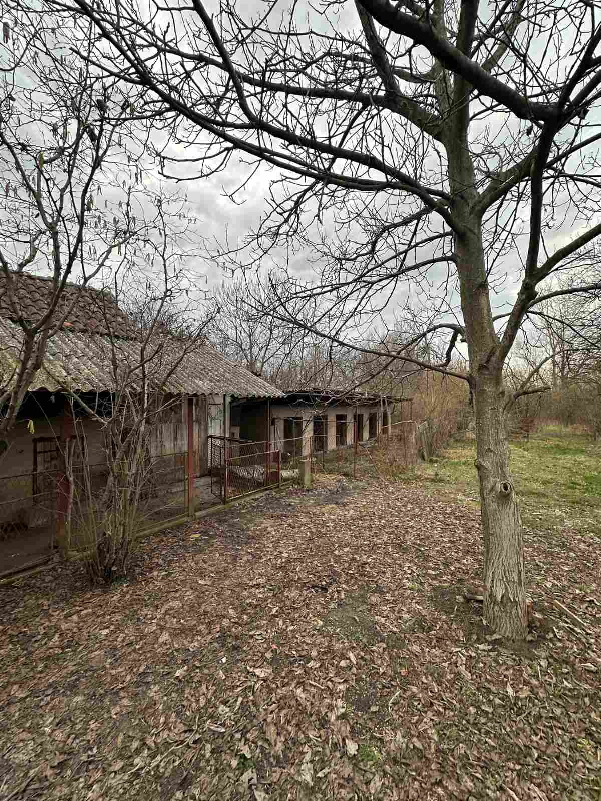 viber_image_2026-02-19_20-11-30-622