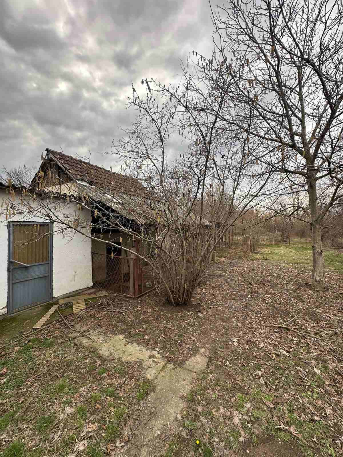 viber_image_2026-02-19_20-11-30-649