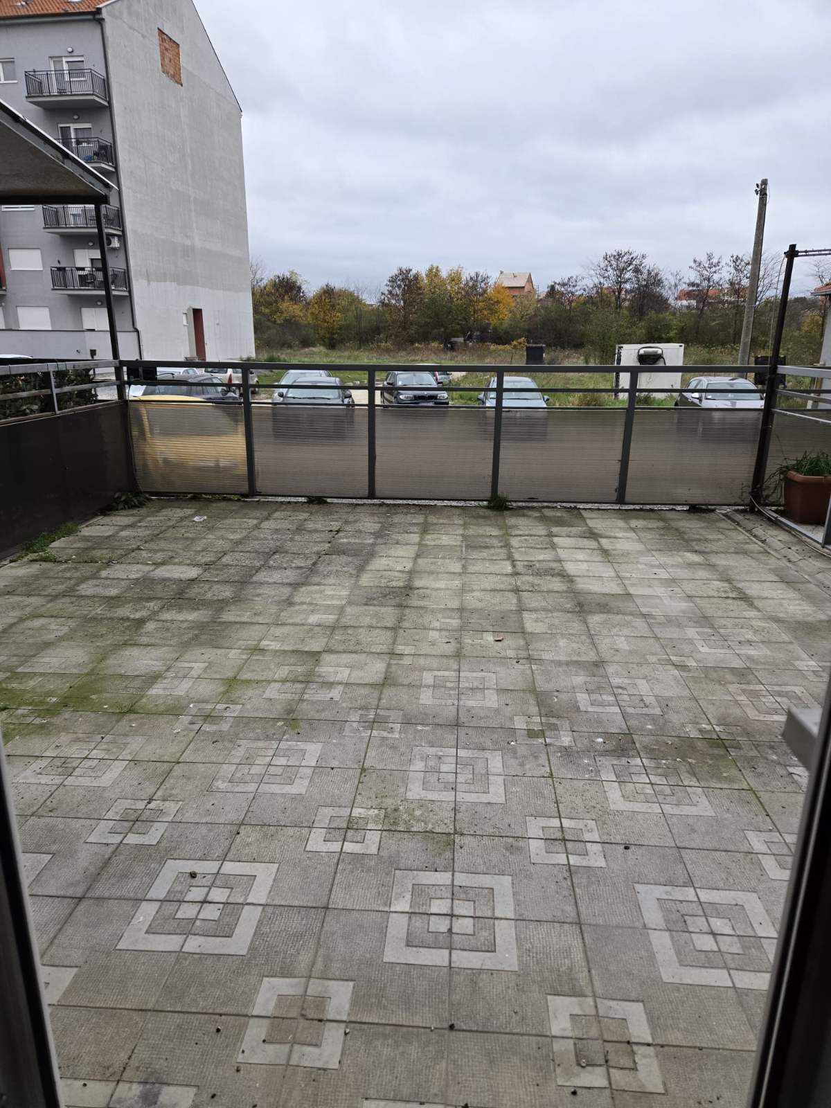 viber_image_2026-02-23_13-26-54-170