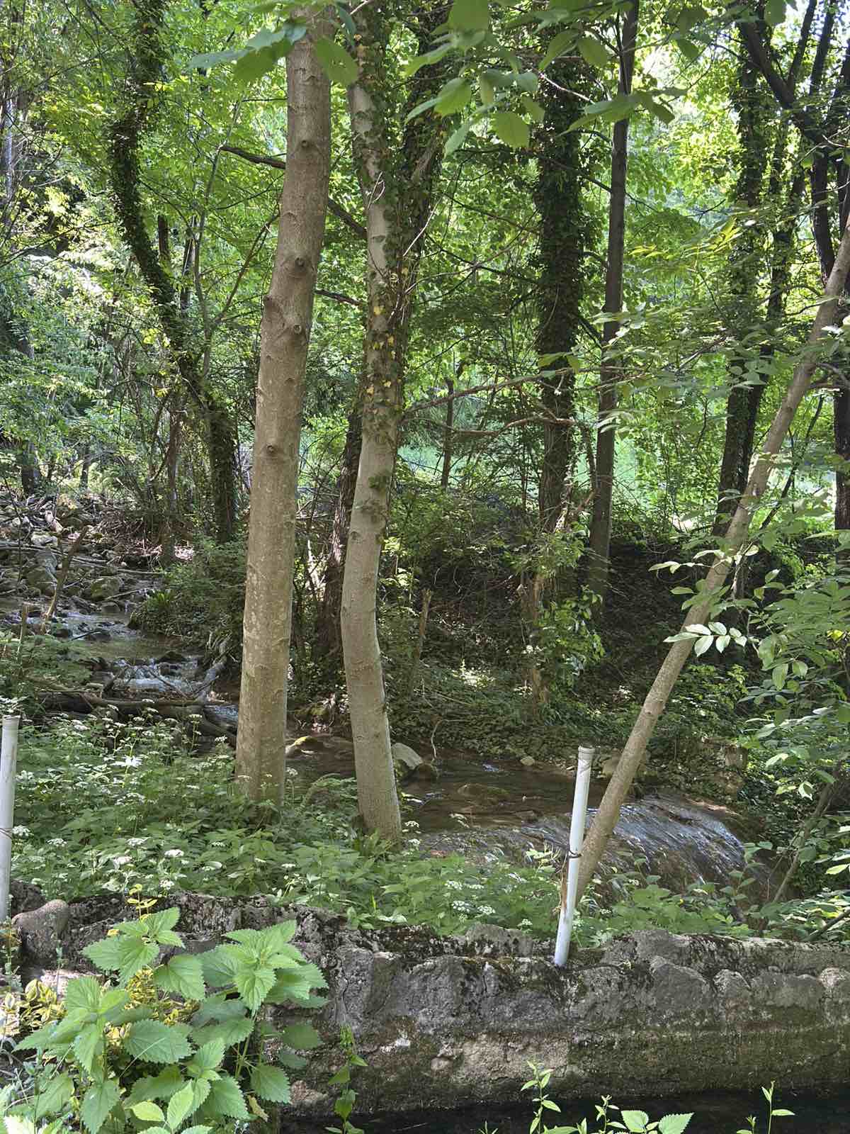 viber_slika_2025-06-07_14-02-29-672