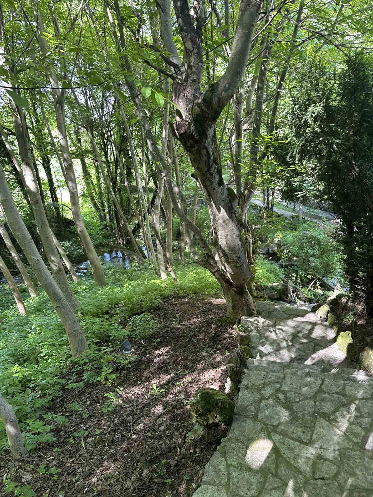 viber_slika_2025-06-07_14-03-41-710