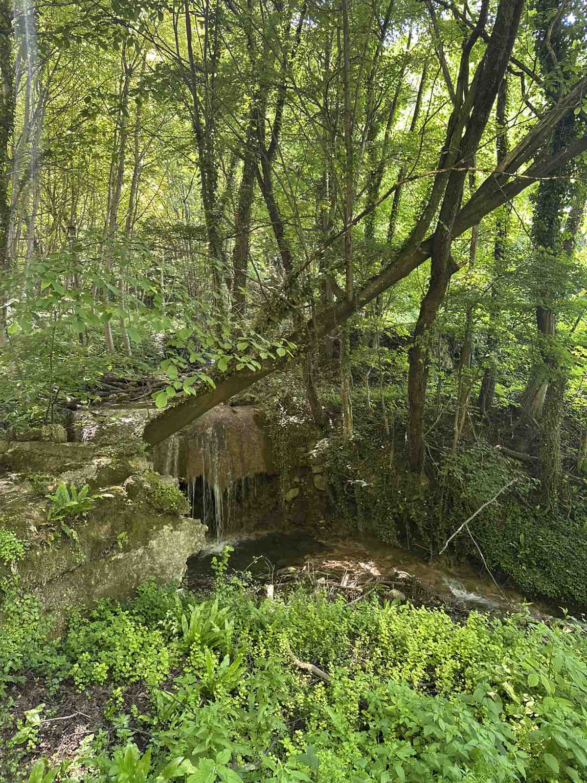 viber_slika_2025-06-07_14-03-42-504