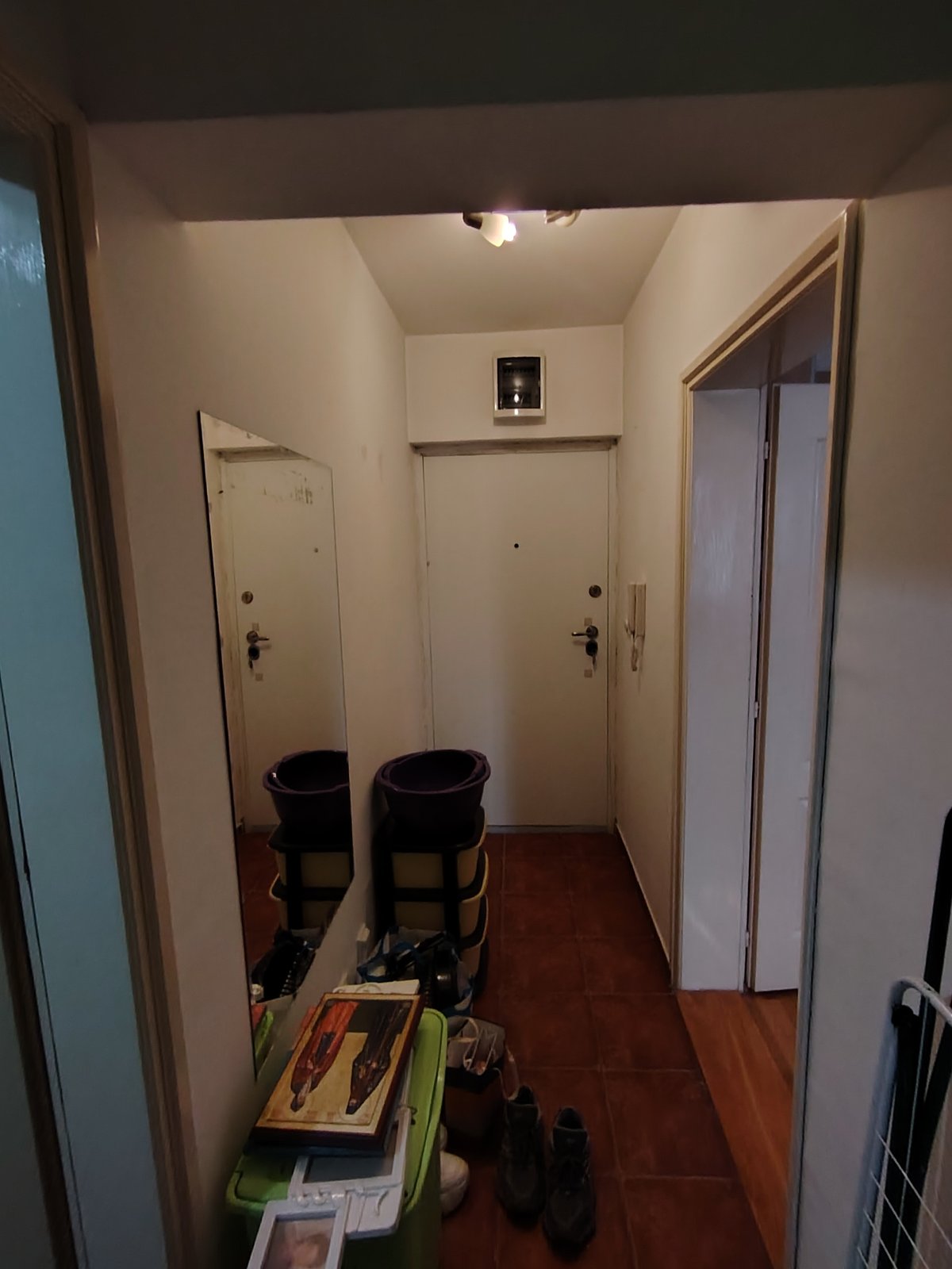 viber_image_2026-01-03_16-47-22-264