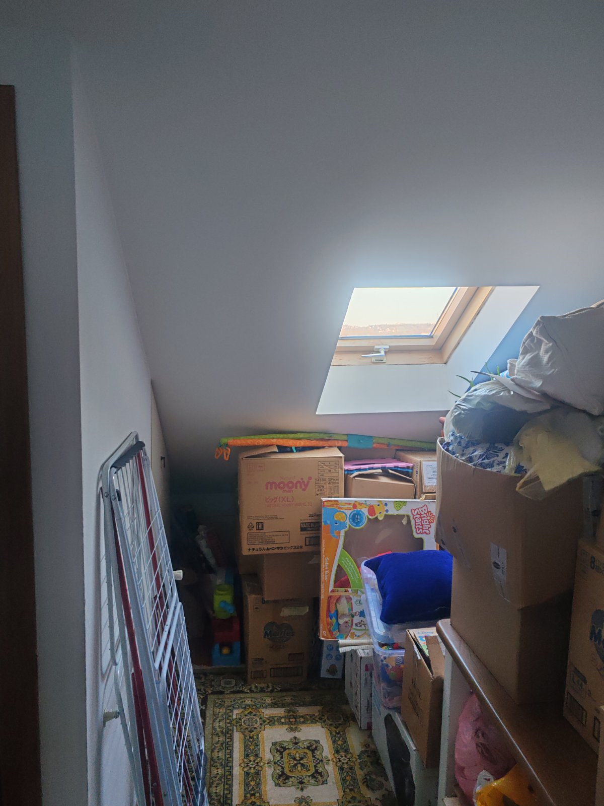 viber_image_2026-03-09_15-56-06-990