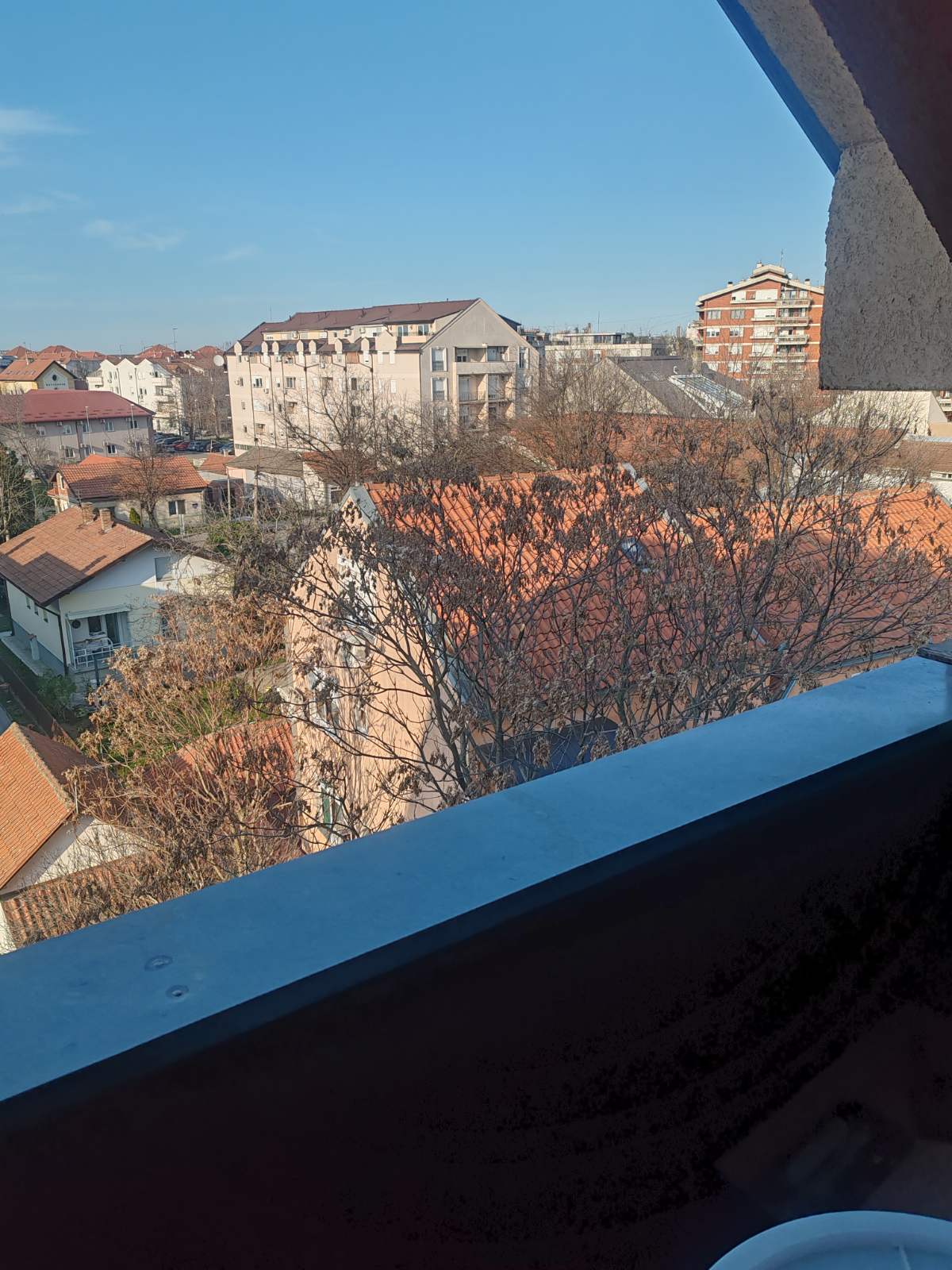 viber_image_2026-03-09_15-56-08-164