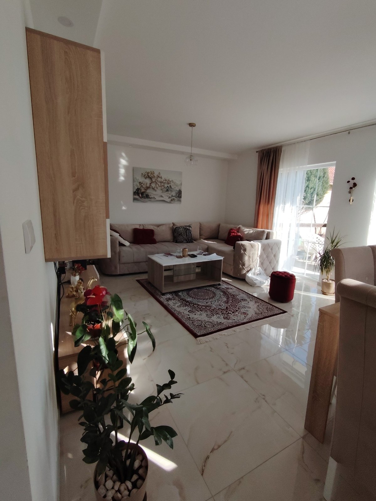 viber_image_2026-03-10_19-22-10-248