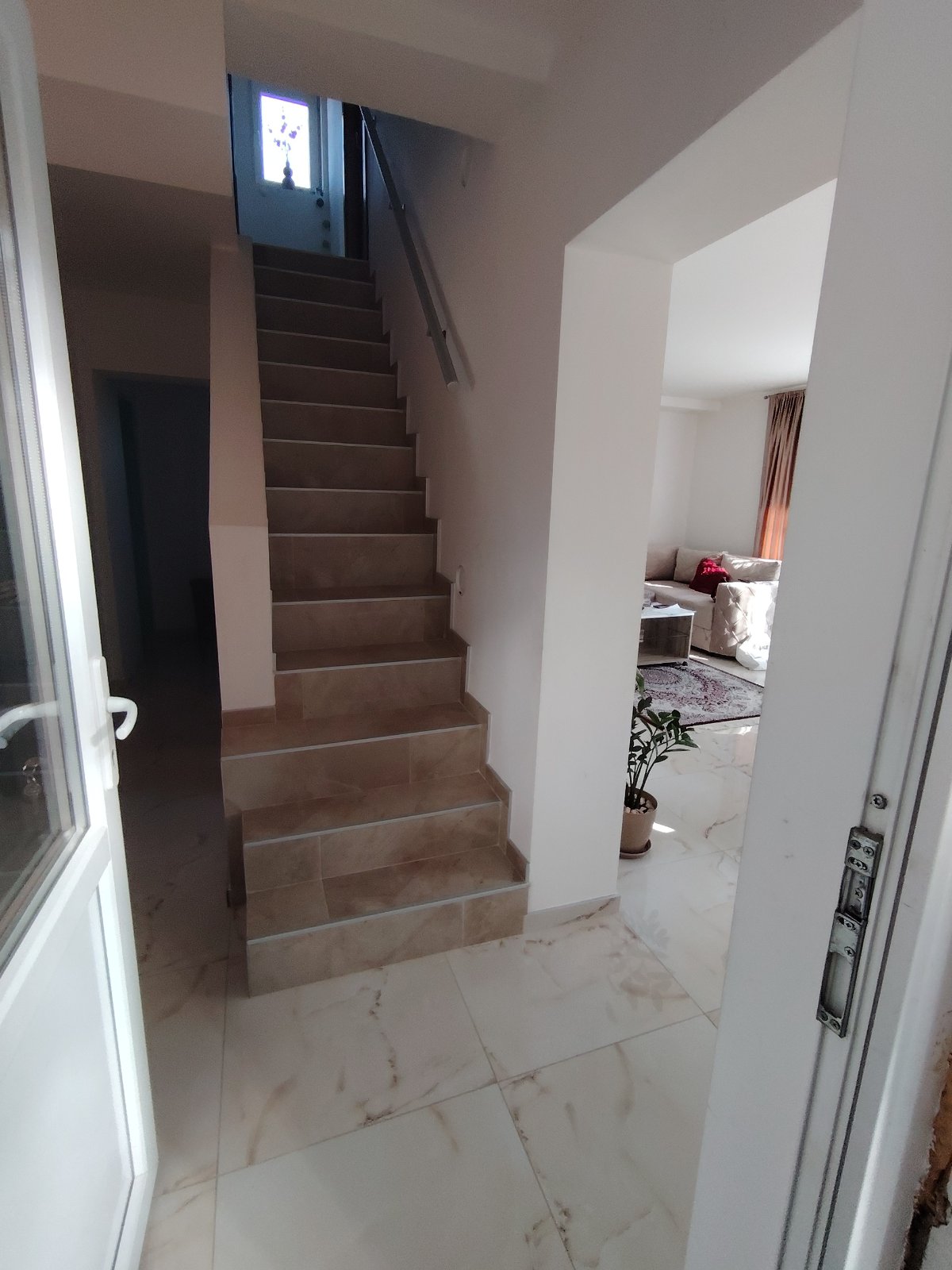 viber_image_2026-03-10_19-22-10-312