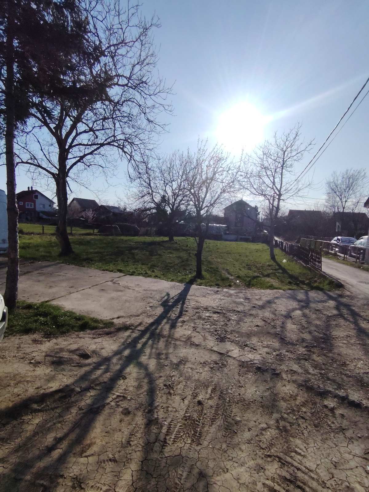 viber_image_2026-03-10_20-36-43-990