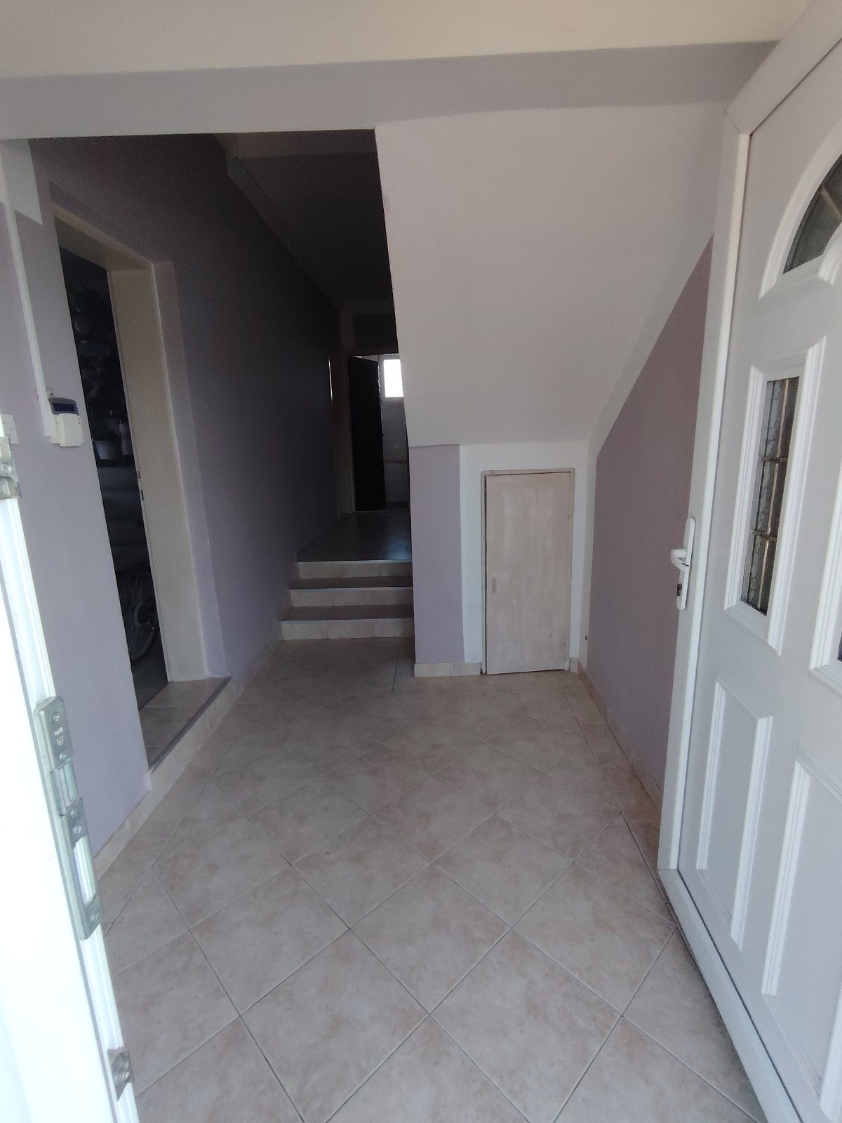 viber_image_2026-03-10_20-36-44-231