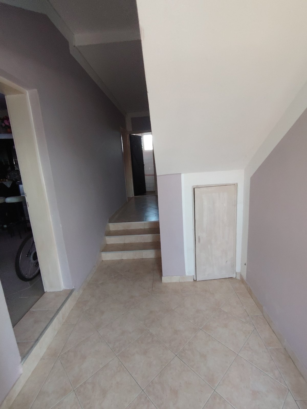 viber_image_2026-03-10_20-36-44-241