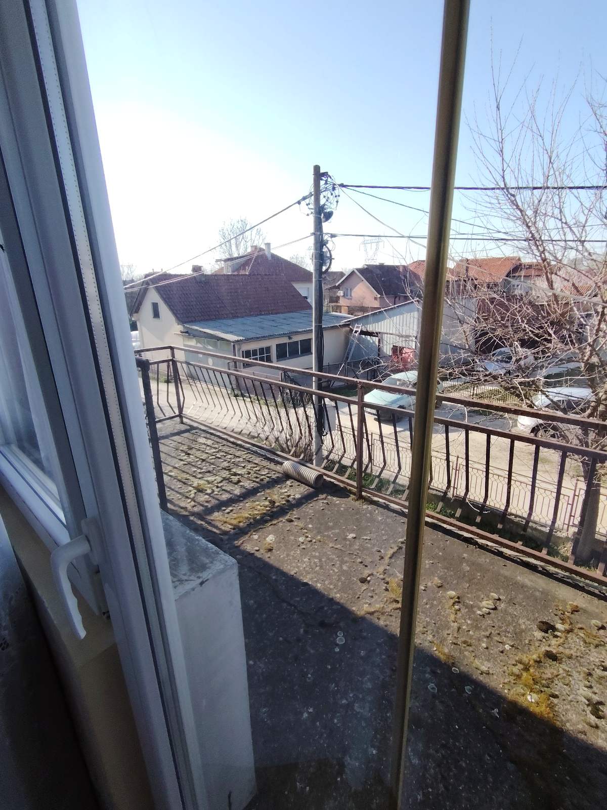 viber_image_2026-03-10_20-36-44-393