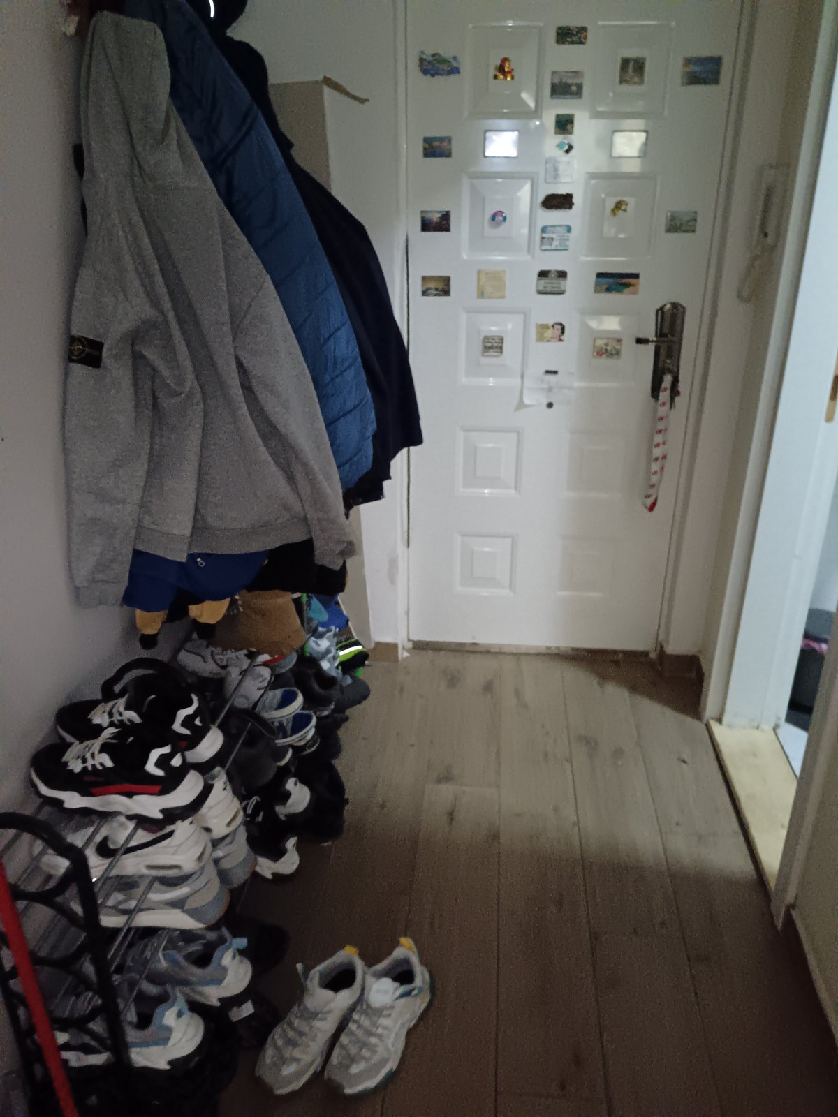 viber_image_2026-03-11_14-37-45-737