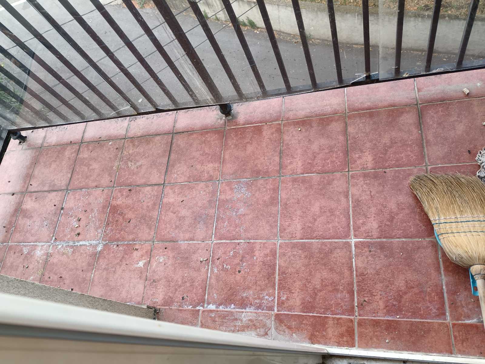 viber_image_2026-03-11_14-37-48-265