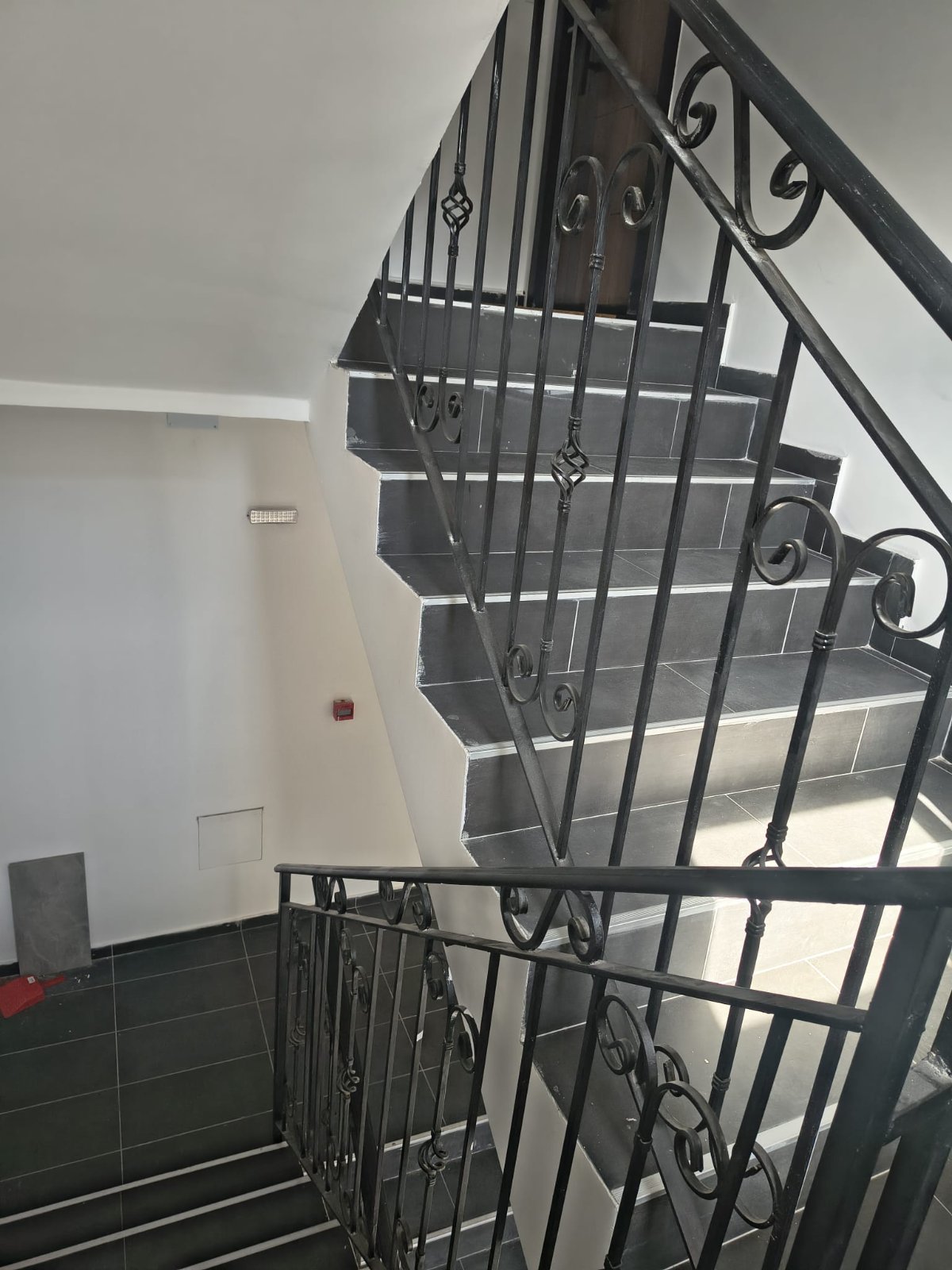 viber_image_2026-03-13_09-09-08-333