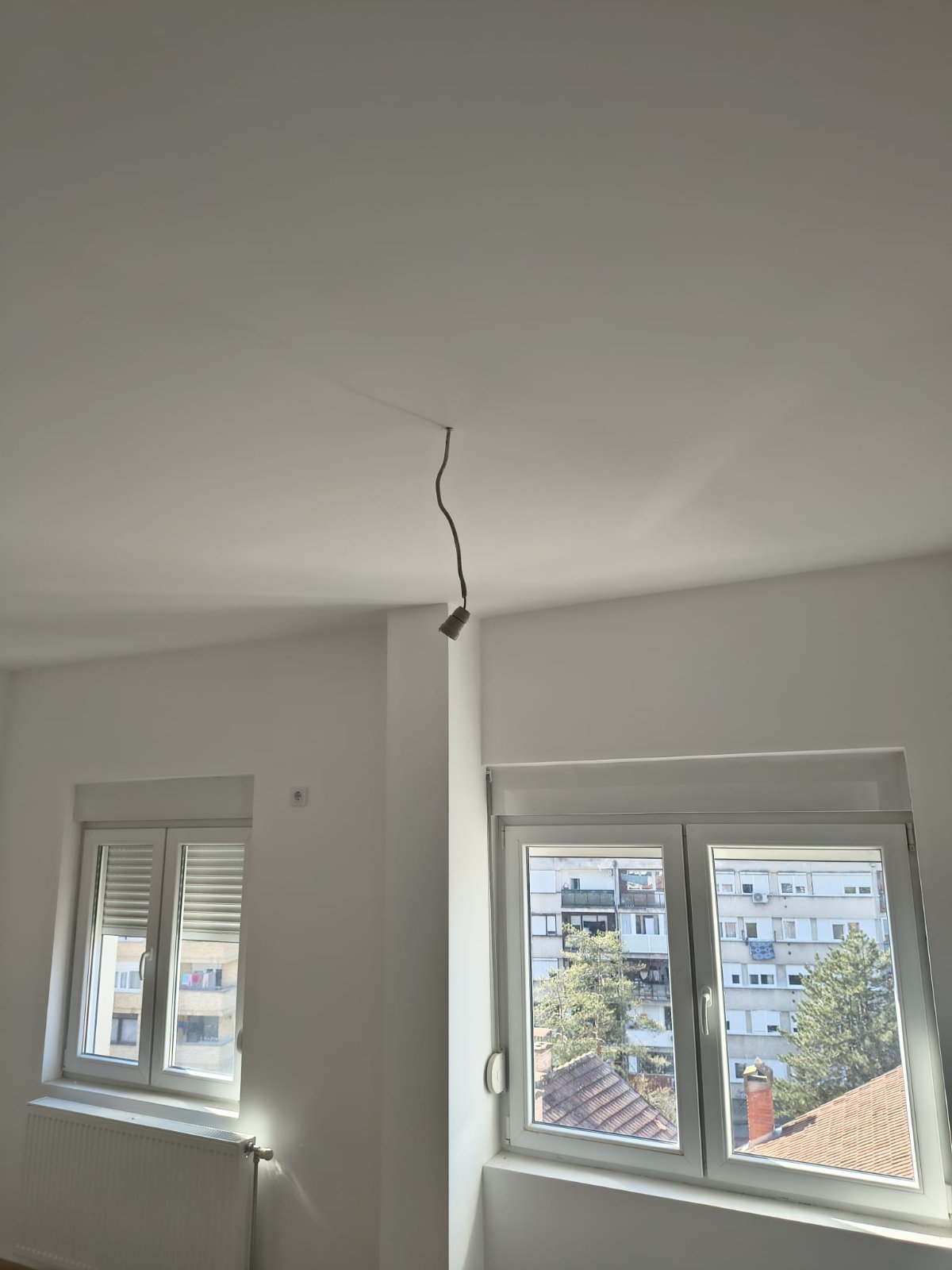 viber_image_2026-03-13_09-09-10-715