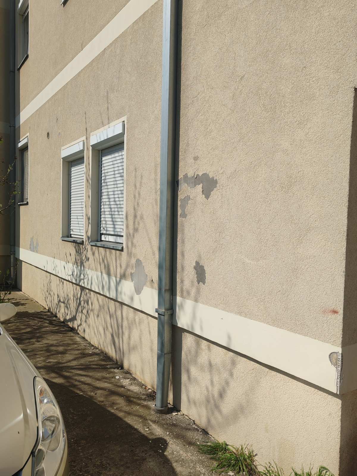 viber_image_2026-03-13_12-54-32-104