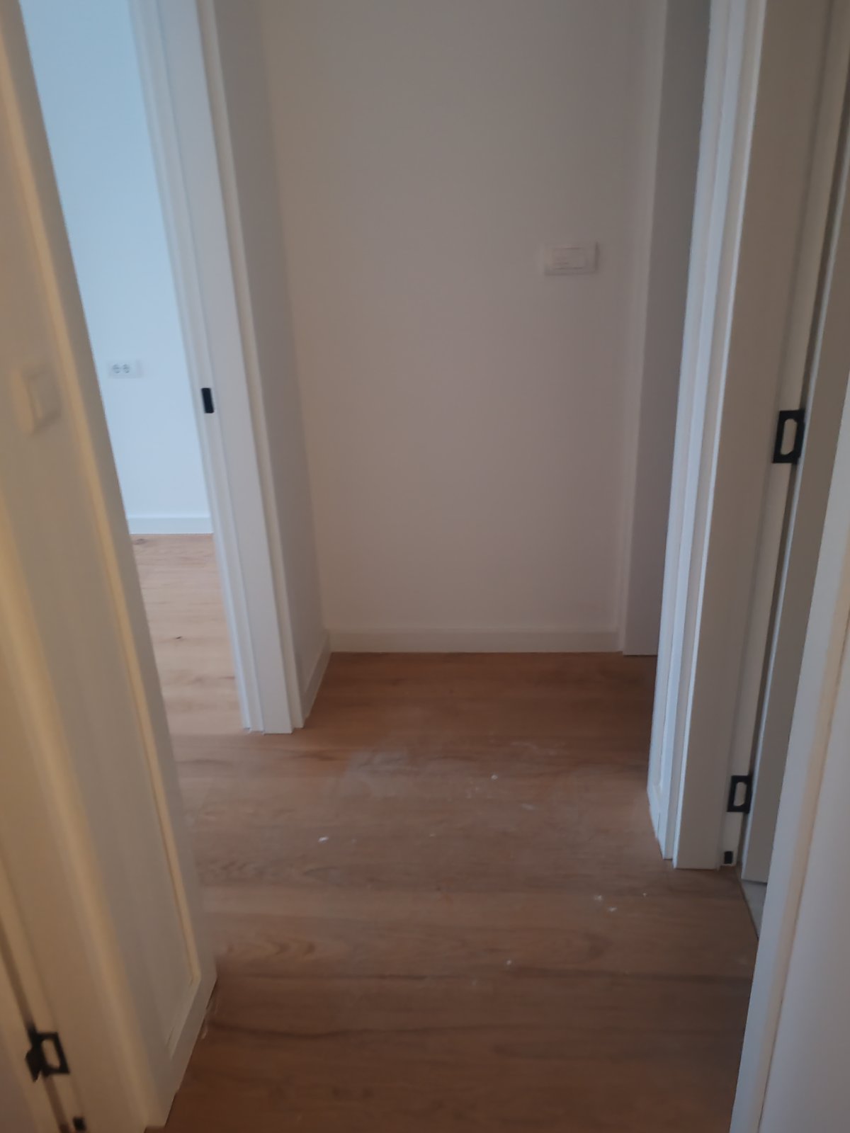 viber_image_2026-03-17_21-12-44-965