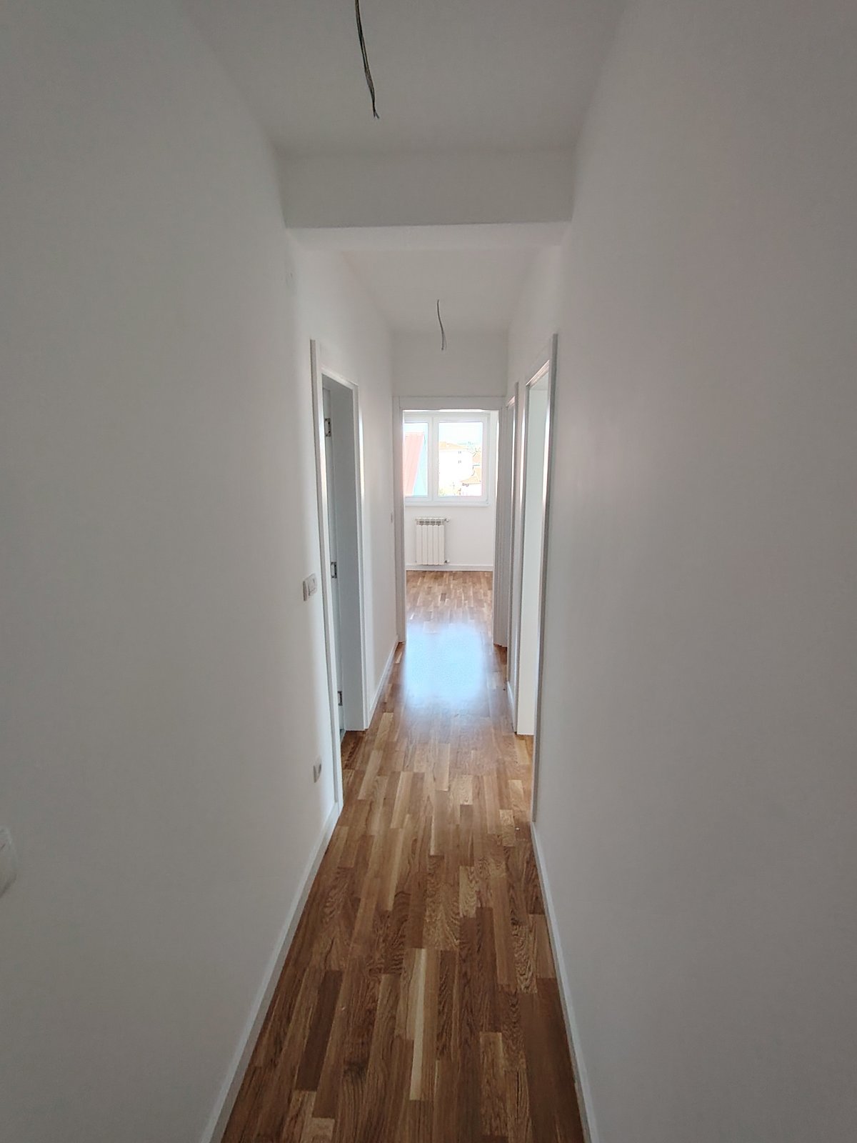 viber_image_2026-03-23_12-26-01-106