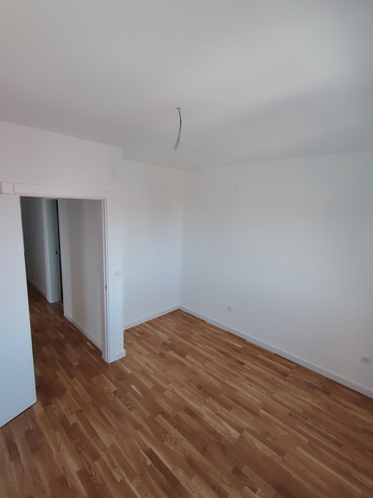 viber_image_2026-03-23_12-26-01-631