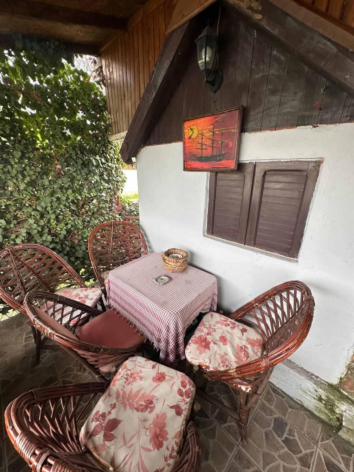 viber_image_2026-03-23_21-29-15-769