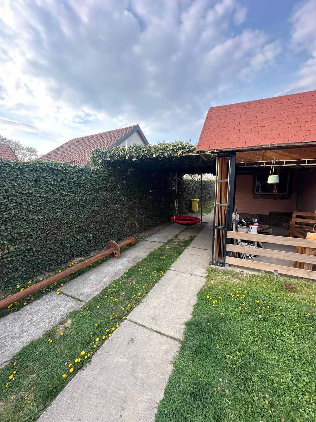 viber_image_2026-03-23_21-29-15-986