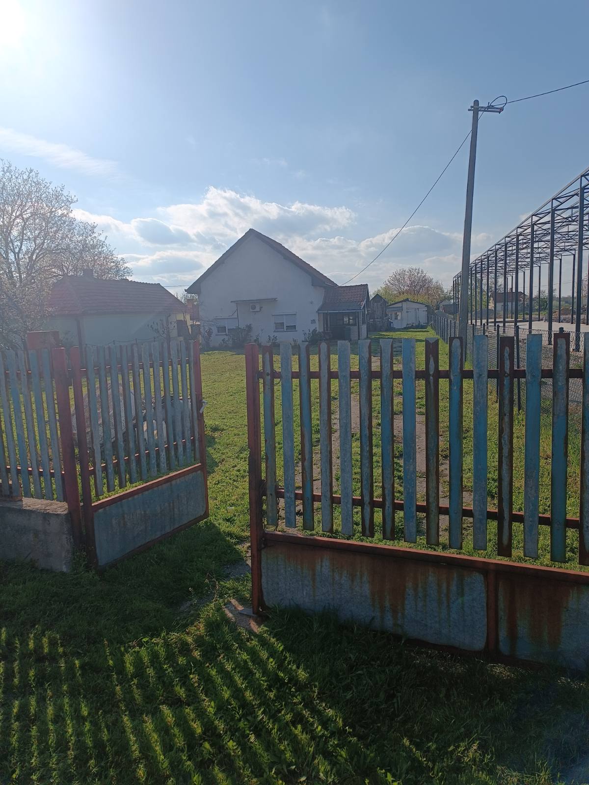 viber_image_2026-04-14_11-59-09-920