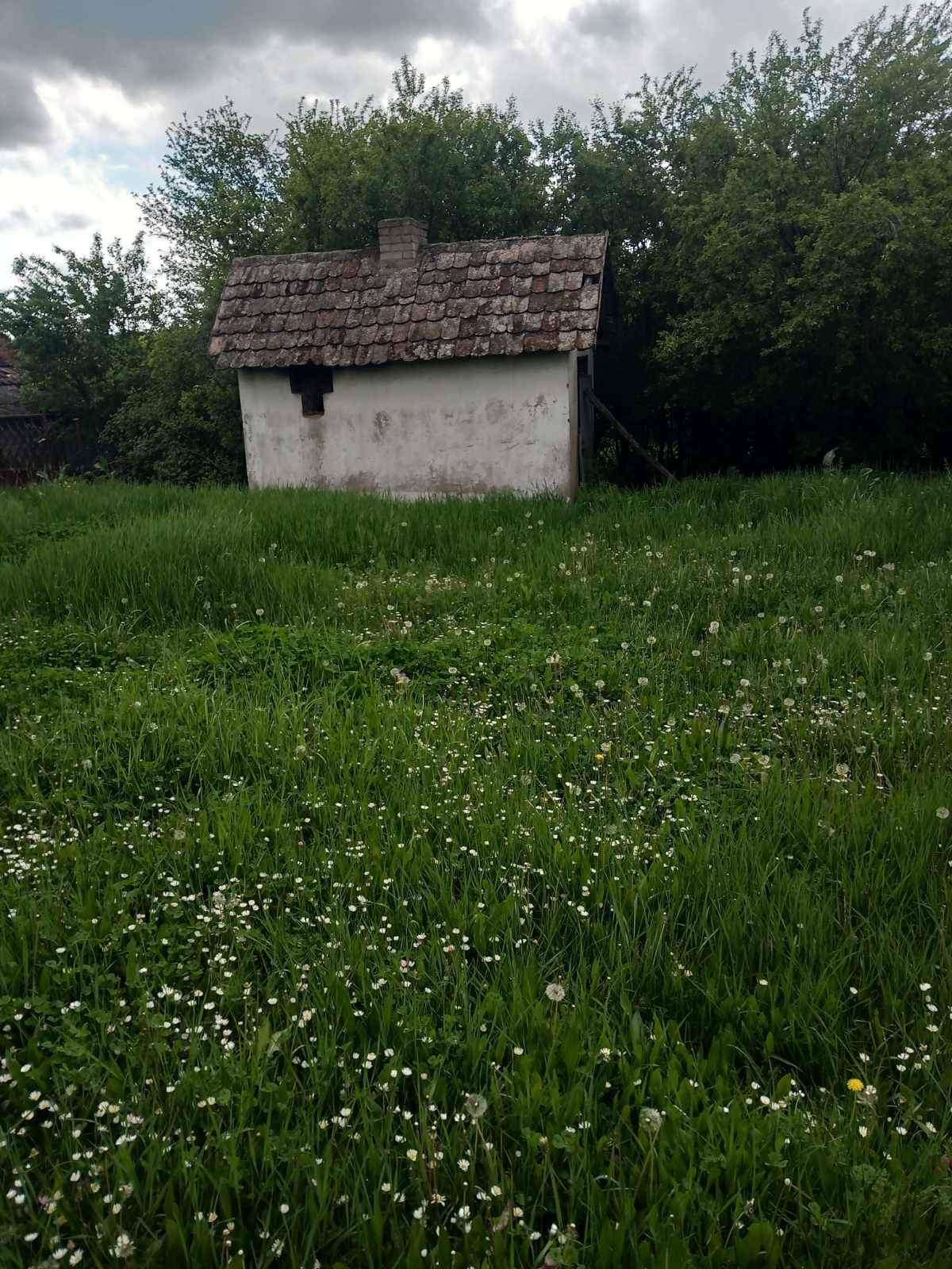 viber_image_2026-04-20_19-30-35-071