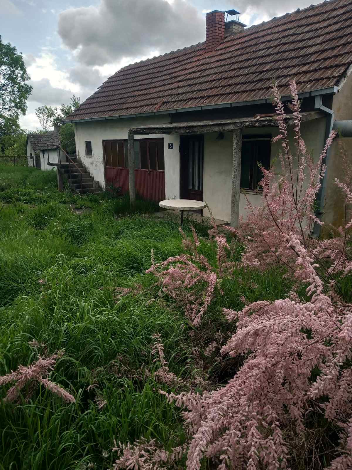 viber_image_2026-04-20_19-30-36-804