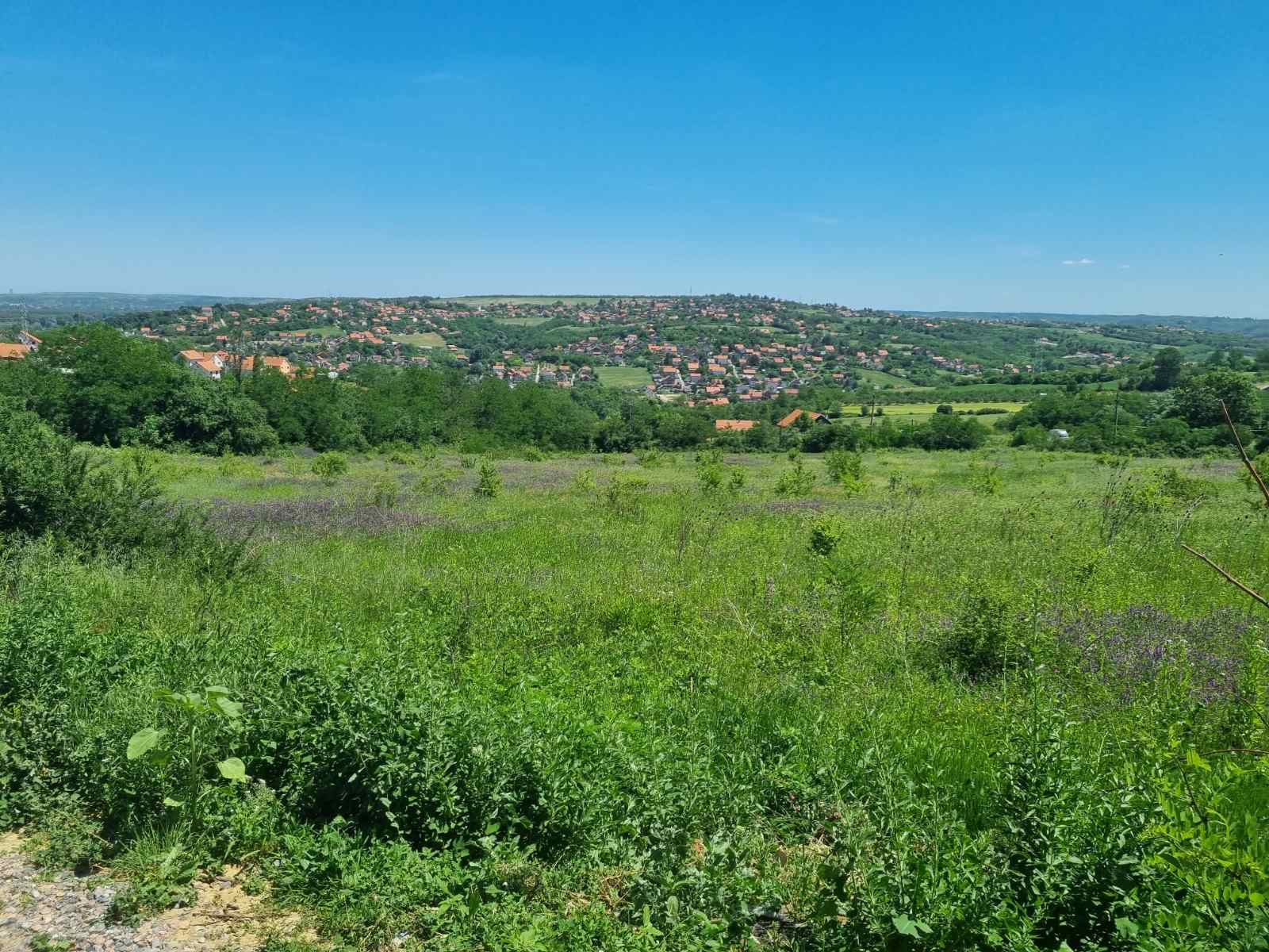 Plac u Bariču – 1, 5 h